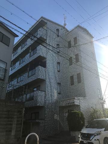 |コレクション津田(賃貸マンション)