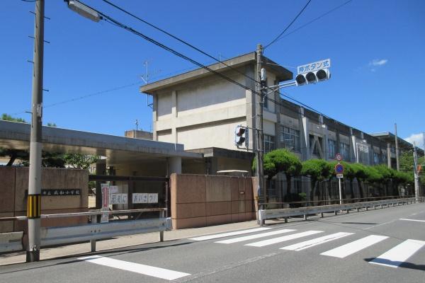 　東大阪市立成和小学校（小学校）／678m　
