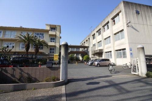 　木津川市立木津小学校（小学校）／604m　